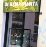 foto 0 - Monza negozio canapa marijuana light a Monza e della Brianza in Vendita