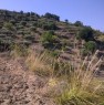 foto 1 - Caronia terreno agricolo a Messina in Vendita