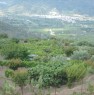 foto 5 - Calatabiano terreno agricolo a Catania in Vendita