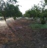 foto 3 - Patern propriet con impianto di irrigazione a Catania in Vendita