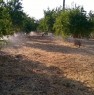 foto 1 - Patern propriet con impianto di irrigazione a Catania in Vendita
