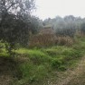 foto 2 - Montalto Uffugo terreno agricolo a Cosenza in Vendita