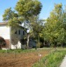 foto 7 - Isola d'Elba Capoliveri in campagna casa vacanza a Livorno in Affitto