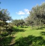 foto 4 - Sciacca terreno agricolo in zona piana Scunchipani a Agrigento in Vendita