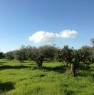 foto 0 - Sciacca terreno agricolo in zona piana Scunchipani a Agrigento in Vendita
