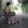 foto 1 - Vezzano sul Crostolo casa singola con giardino a Reggio nell'Emilia in Vendita