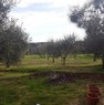 foto 44 - Pisticci localit Carcarole terreno con casetta a Matera in Vendita