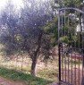foto 34 - Pisticci localit Carcarole terreno con casetta a Matera in Vendita