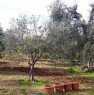 foto 30 - Pisticci localit Carcarole terreno con casetta a Matera in Vendita