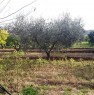 foto 23 - Pisticci localit Carcarole terreno con casetta a Matera in Vendita