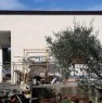 foto 20 - Pisticci localit Carcarole terreno con casetta a Matera in Vendita