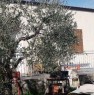 foto 19 - Pisticci localit Carcarole terreno con casetta a Matera in Vendita