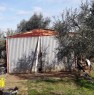 foto 18 - Pisticci localit Carcarole terreno con casetta a Matera in Vendita