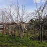 foto 11 - Pisticci localit Carcarole terreno con casetta a Matera in Vendita