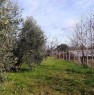 foto 10 - Pisticci localit Carcarole terreno con casetta a Matera in Vendita