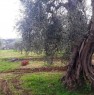 foto 1 - Pisticci localit Carcarole terreno con casetta a Matera in Vendita