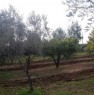 foto 0 - Pisticci localit Carcarole terreno con casetta a Matera in Vendita