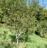 foto 2 - Chiusi della Verna casolare tipico a Arezzo in Vendita