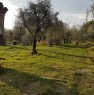 foto 12 - Bientina casale nel verde della Toscana a Pisa in Vendita