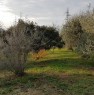 foto 7 - Bientina casale nel verde della Toscana a Pisa in Vendita