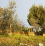 foto 3 - Bientina casale nel verde della Toscana a Pisa in Vendita
