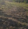 foto 6 - Baschi appezzamenti di terreno agricolo boschivo a Terni in Vendita