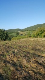 Annuncio vendita Baschi appezzamenti di terreno agricolo boschivo