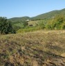 foto 0 - Baschi appezzamenti di terreno agricolo boschivo a Terni in Vendita