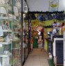 foto 2 - Bari negozio cartoleria oggettistica a Bari in Vendita