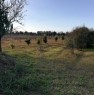 foto 16 - Terreno agricolo nell'agro di Uta a Cagliari in Vendita