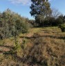 foto 12 - Terreno agricolo nell'agro di Uta a Cagliari in Vendita