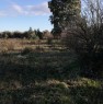 foto 9 - Terreno agricolo nell'agro di Uta a Cagliari in Vendita