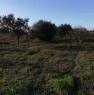 foto 5 - Terreno agricolo nell'agro di Uta a Cagliari in Vendita
