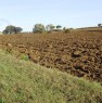 foto 3 - Magliano in Toscana terreno agricolo a Grosseto in Vendita