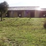 foto 2 - Magliano in Toscana terreno agricolo a Grosseto in Vendita