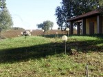 Annuncio vendita Magliano in Toscana terreno agricolo