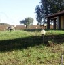 foto 0 - Magliano in Toscana terreno agricolo a Grosseto in Vendita