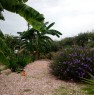 foto 7 - Misilmeri villetta con giardino e terreno uliveto a Palermo in Vendita