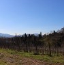 foto 1 - Capannori sulle colline villa singola a Lucca in Vendita