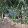 foto 25 - La Maddalena parte di villa con ampio giardino a Olbia-Tempio in Vendita