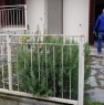 foto 1 - Recetto appartamento arredato a Novara in Affitto