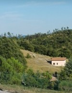 Annuncio vendita Gubbio localit Madonna della Cima terreno