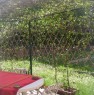 foto 1 - Parma trilocale arredato con giardino a Parma in Affitto