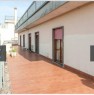 foto 3 - Altamura ampio appartamento a Bari in Affitto