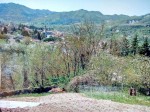 Annuncio vendita Civitella di Romagna lotto edificabile urbanizzato