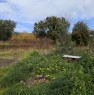 foto 1 - Viagrande terreno agricolo a Catania in Vendita