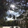 foto 6 - Ceglie Messapica villa con trullo a Brindisi in Vendita