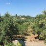 foto 3 - Ceglie Messapica villa con trullo a Brindisi in Vendita