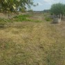foto 4 - San Donaci terreno agricolo con rudere a Brindisi in Vendita