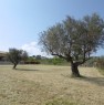foto 5 - Nocciano terreno panoramico a Pescara in Vendita